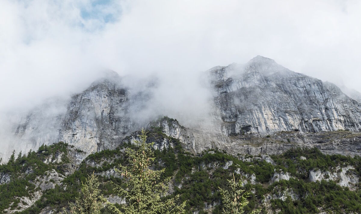 Our commitment to sustainability